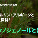 効果をブーストさせる?ピクノジェノールについて解説!