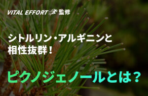 効果をブーストさせる？ピクノジェノールについて解説！