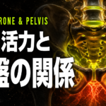 骨盤の傾きがテストステロン産生量を左右する｜男の活力と骨盤の関係