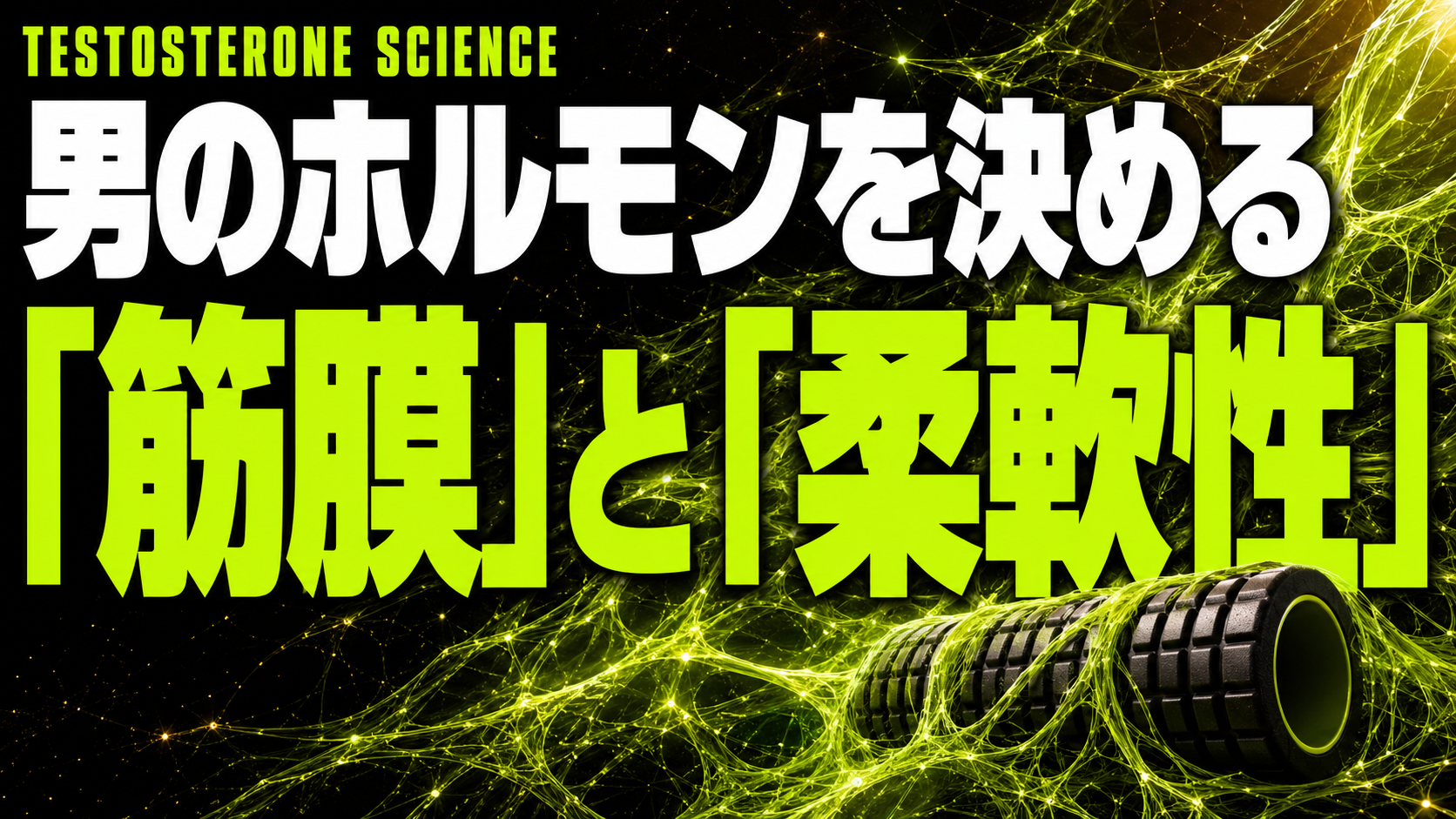 体の硬さがホルモンを左右していた｜ほぐすだけでテストステロンを引き出す最新知見