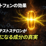 テストフェンの効果とおすすめサプリ｜遊離テストステロンが2倍になる成分の真実