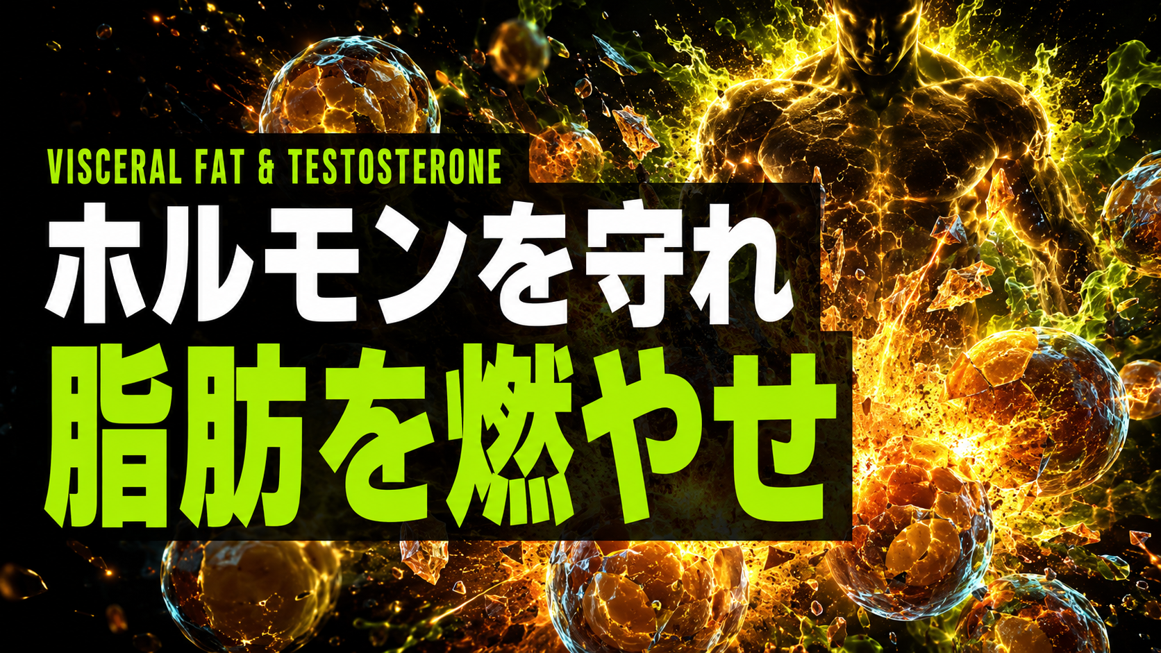 脂肪が男の力を奪う　内臓脂肪とテストステロンの関係