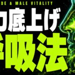 鼻から吸うだけで変わる。血流と男の活力を底上げする"呼吸"の科学