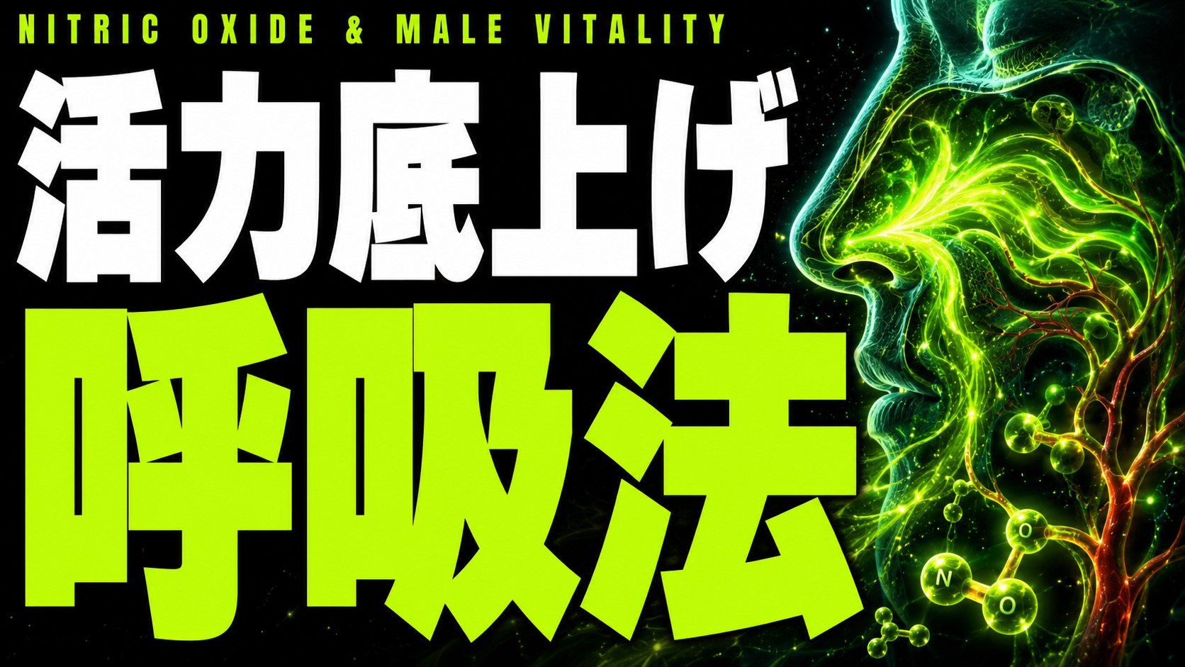 鼻から吸うだけで変わる。血流と男の活力を底上げする"呼吸"の科学