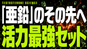「亜鉛だけ」では足りない　男をアゲる最強セットの科学的全貌