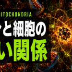 鉄分が男の活力を決める　細胞レベルで体を変える科学