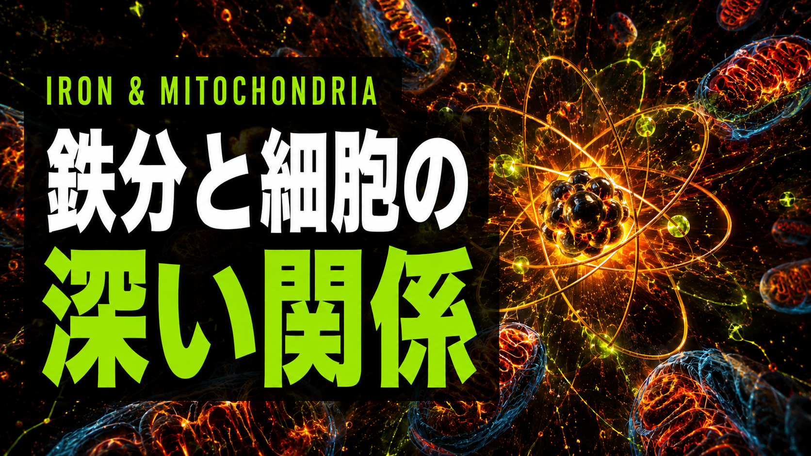 鉄分が男の活力を決める　細胞レベルで体を変える科学